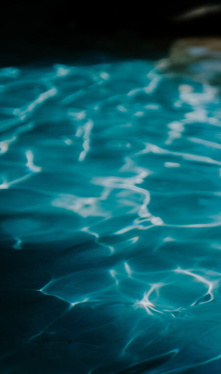 Brand Ambassador logo